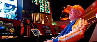 Вход на официальный сайт Casino Wilder